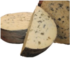 BLUE FOURME D'AMBERT FRANCE